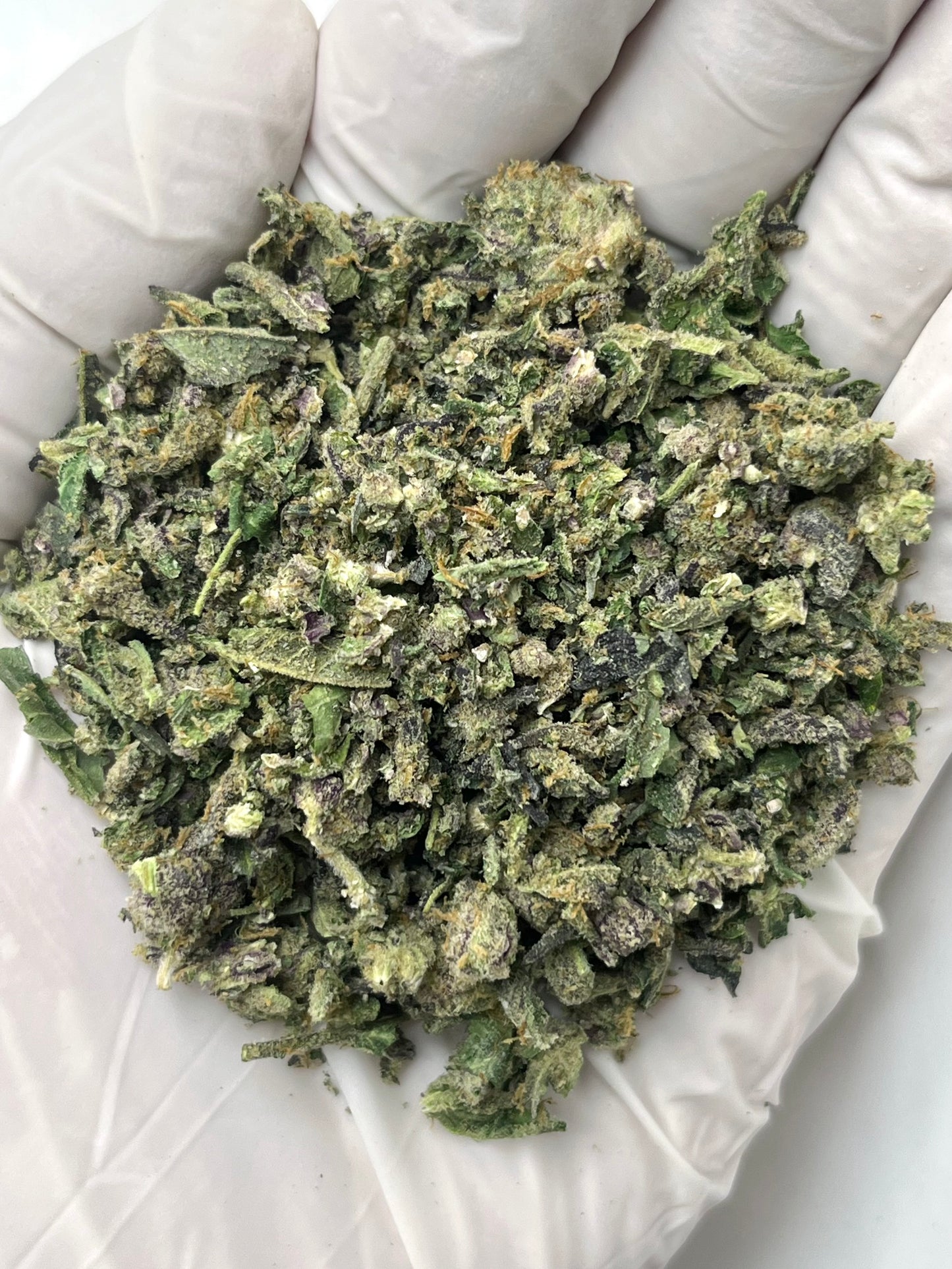 Cosmic Gelato SHAKE