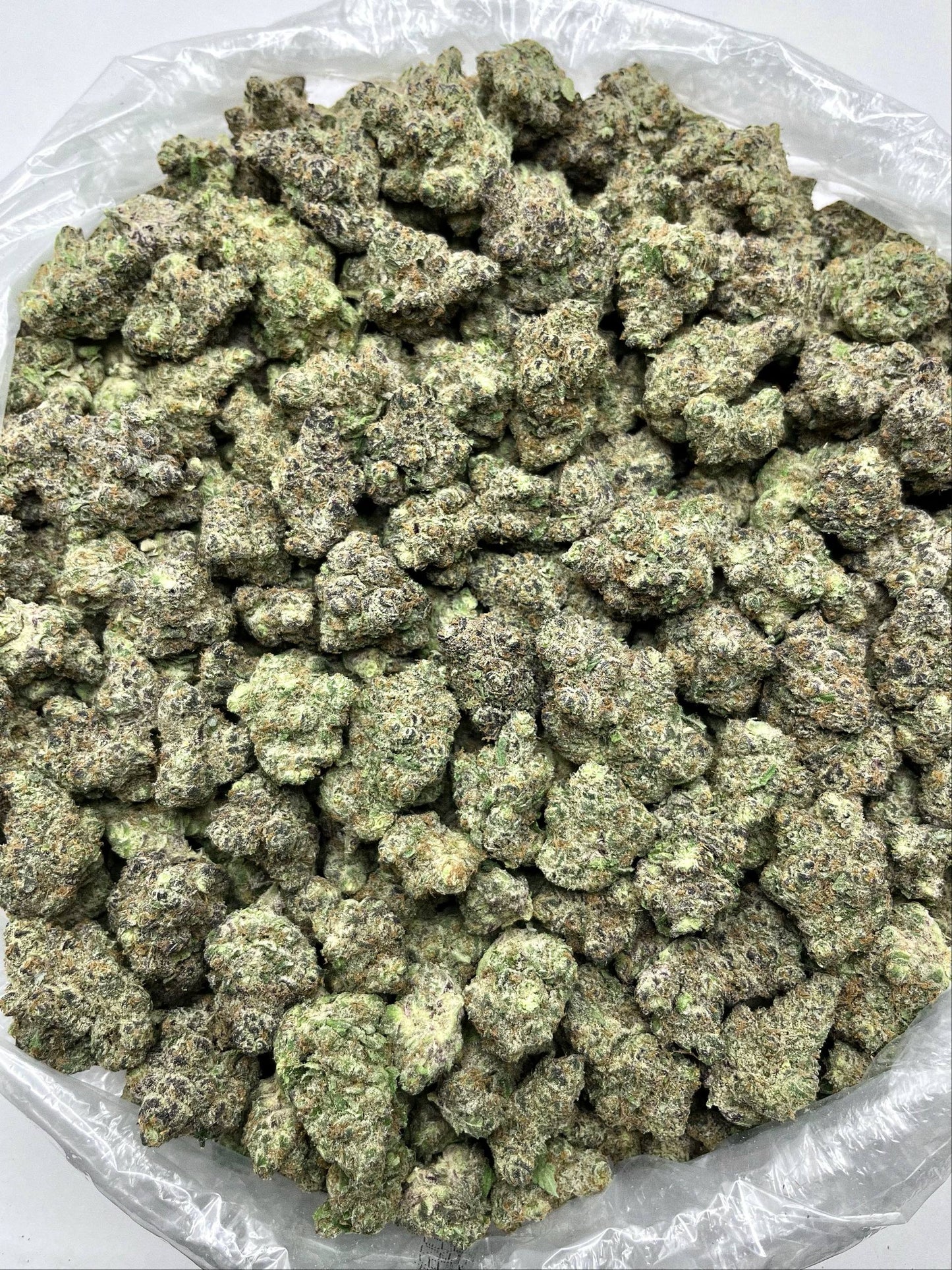 Premium Rainbow Beltz