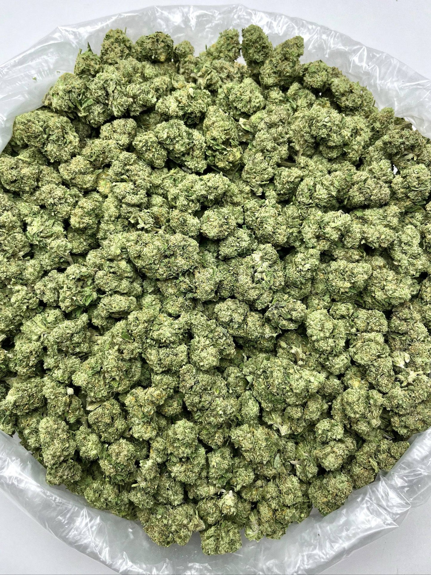 Greenbacks Candy Rain