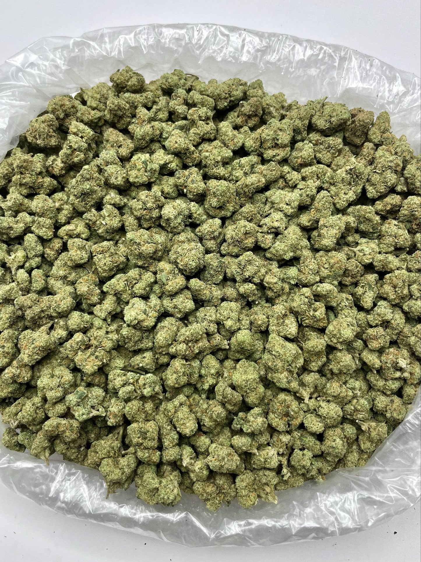 Greenbacks Cosmic Gelato