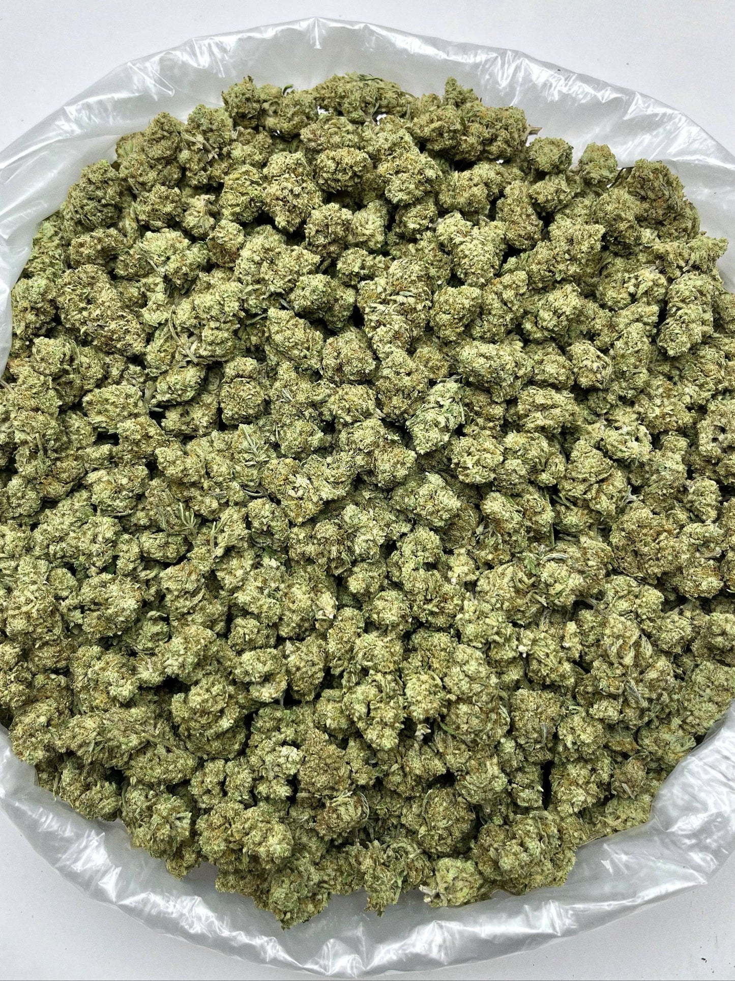 Greenbacks Black Sakura