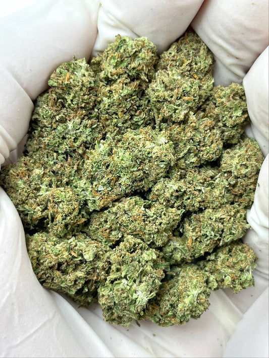 Jack Herer