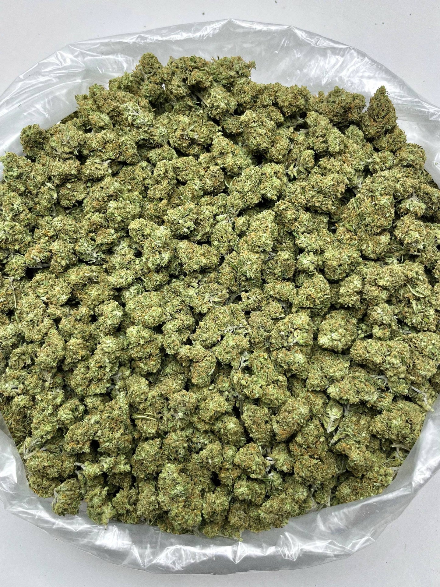 Greenbacks Jack Herer