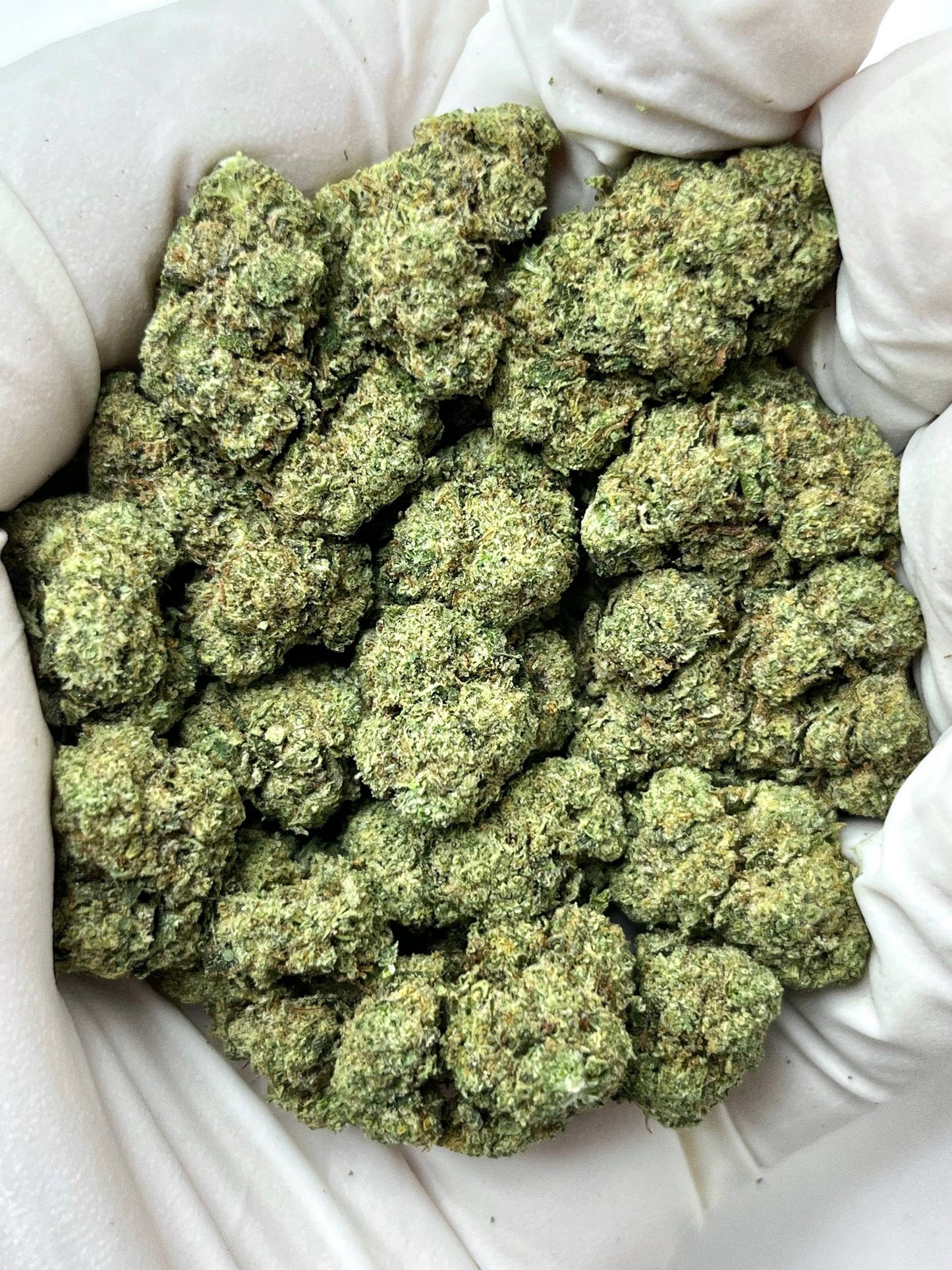 Gelato