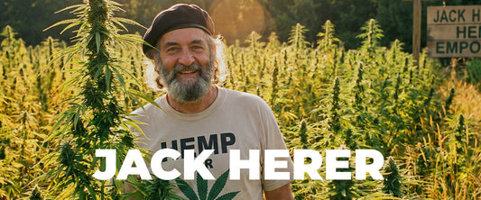 Jack Herer Strain: The Complete Guide to Cannabis's Most Legendary Cultivar