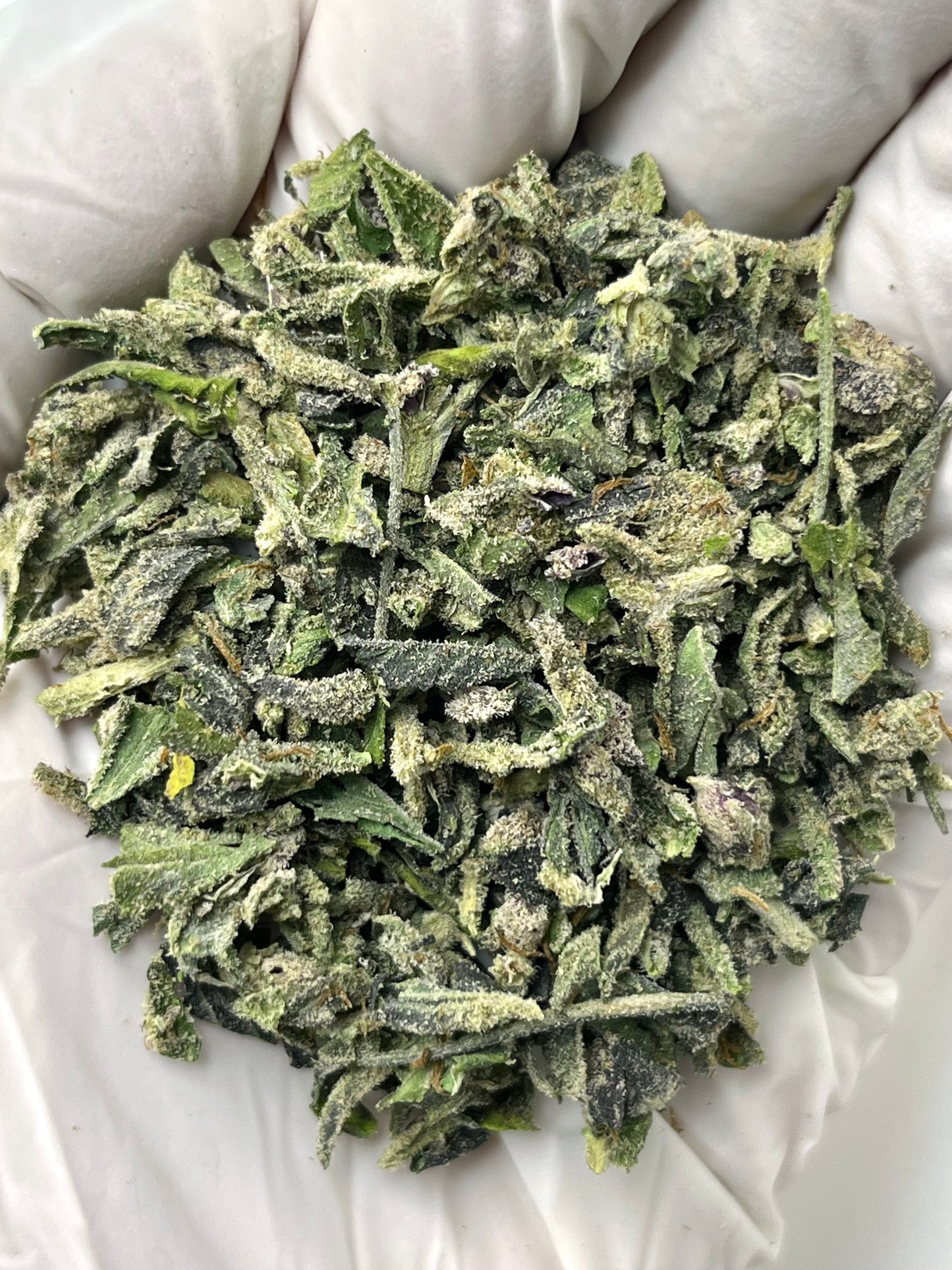 Sour Diesel SHAKE