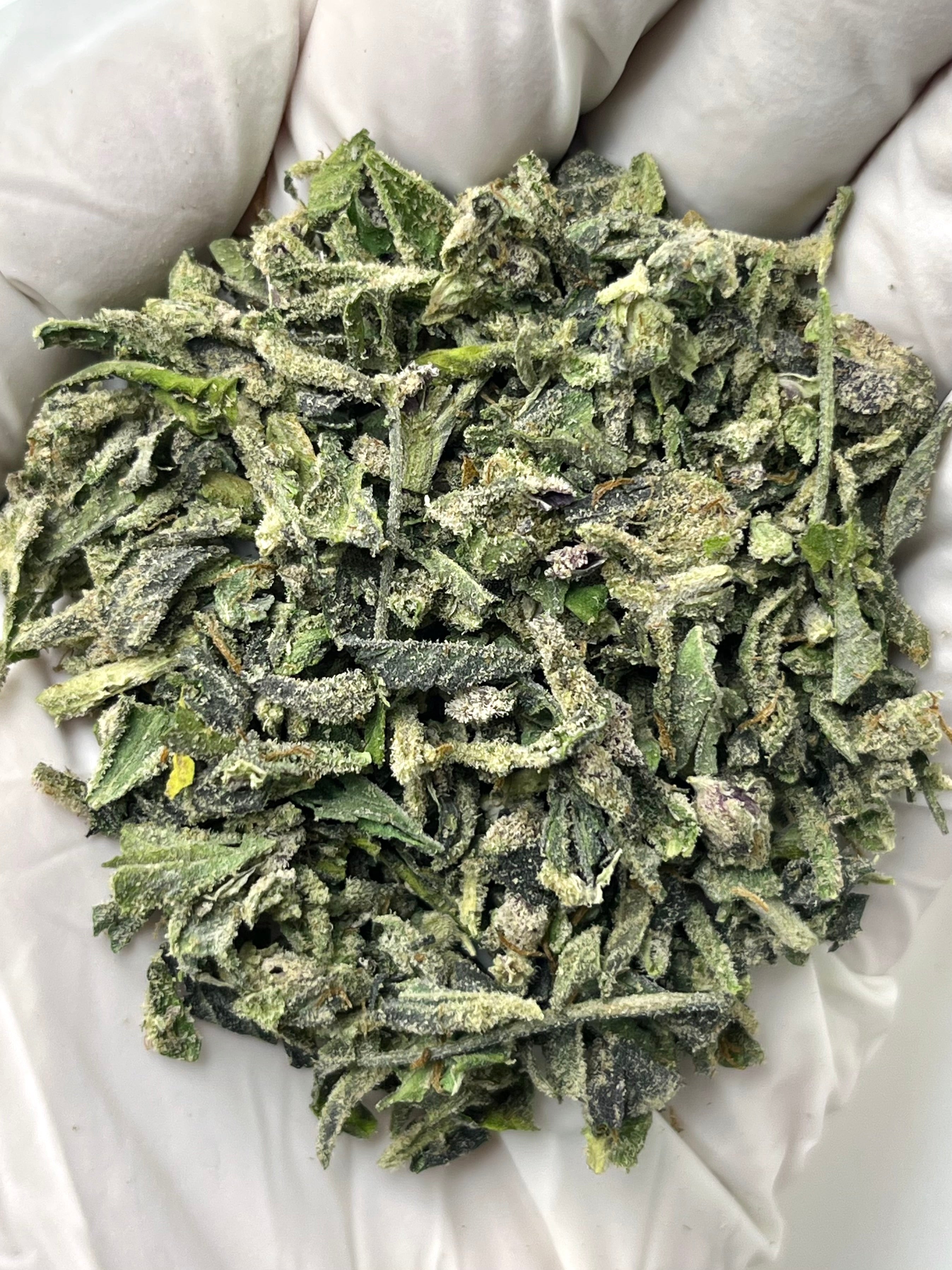 Sour Diesel SHAKE