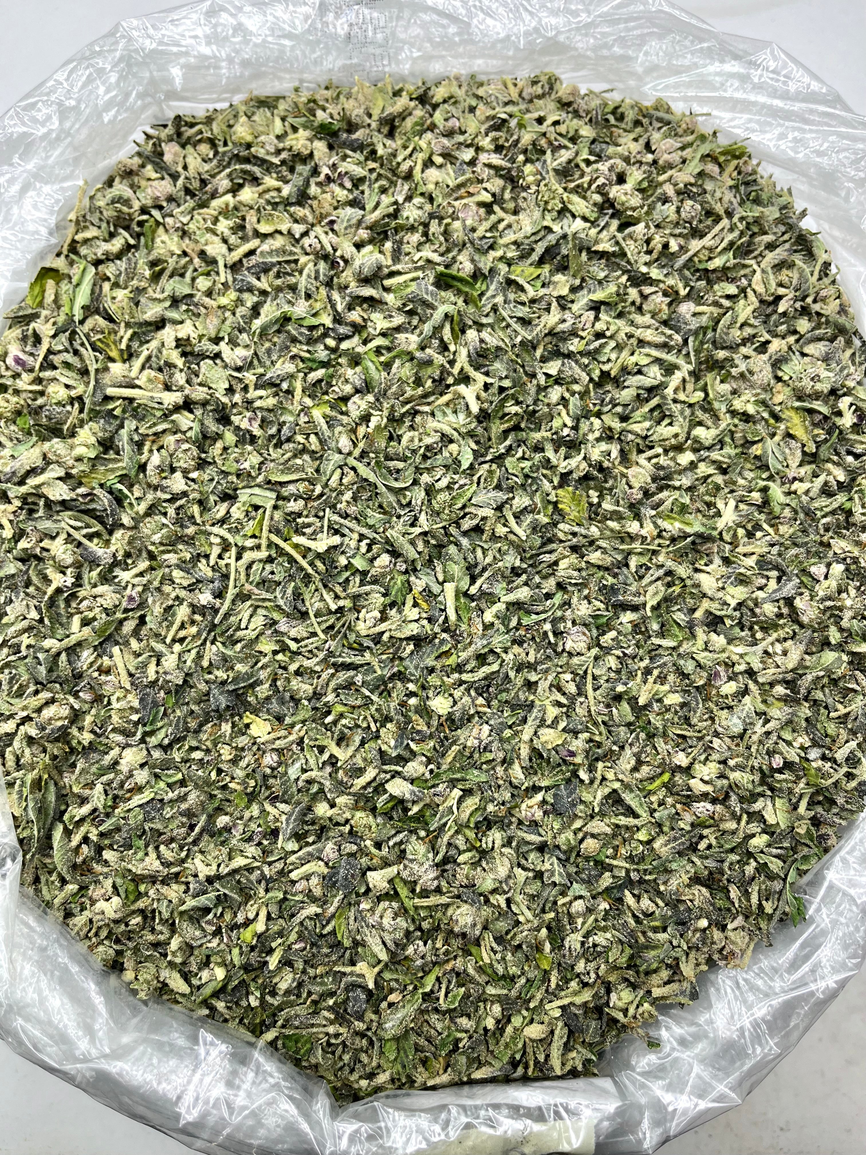 Sour Diesel SHAKE
