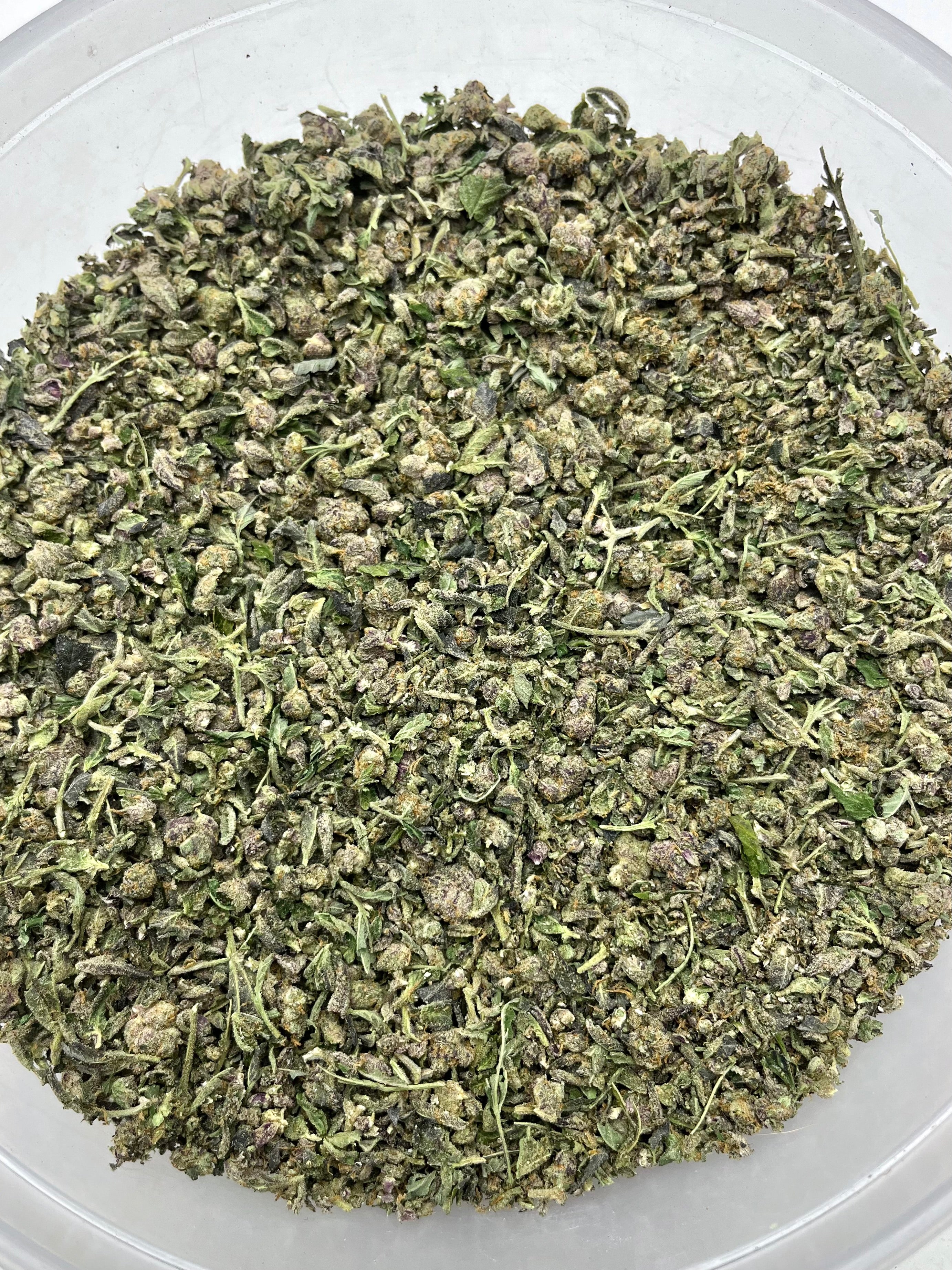 Cosmic Gelato SHAKE