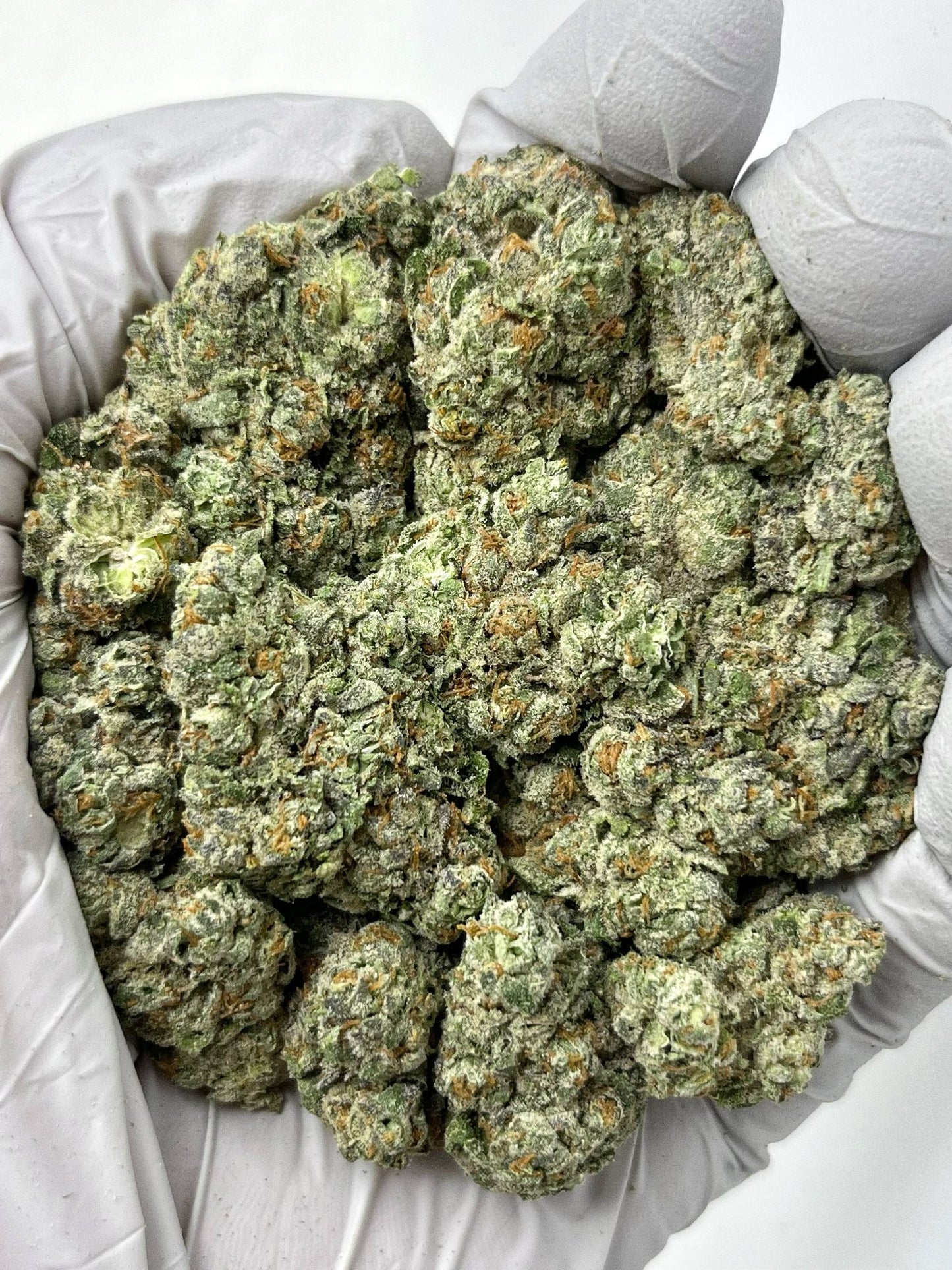 Premium Cosmic Gelato