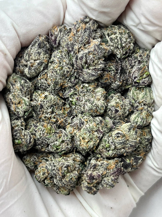 Premium Black Sakura