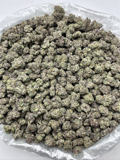 Premium Black Sakura