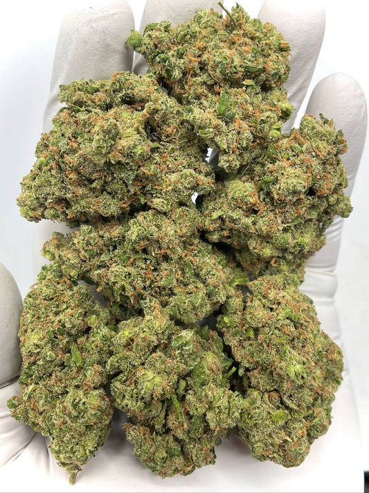 Premium Jack Herer