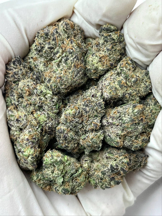 Premium Rainbow Beltz