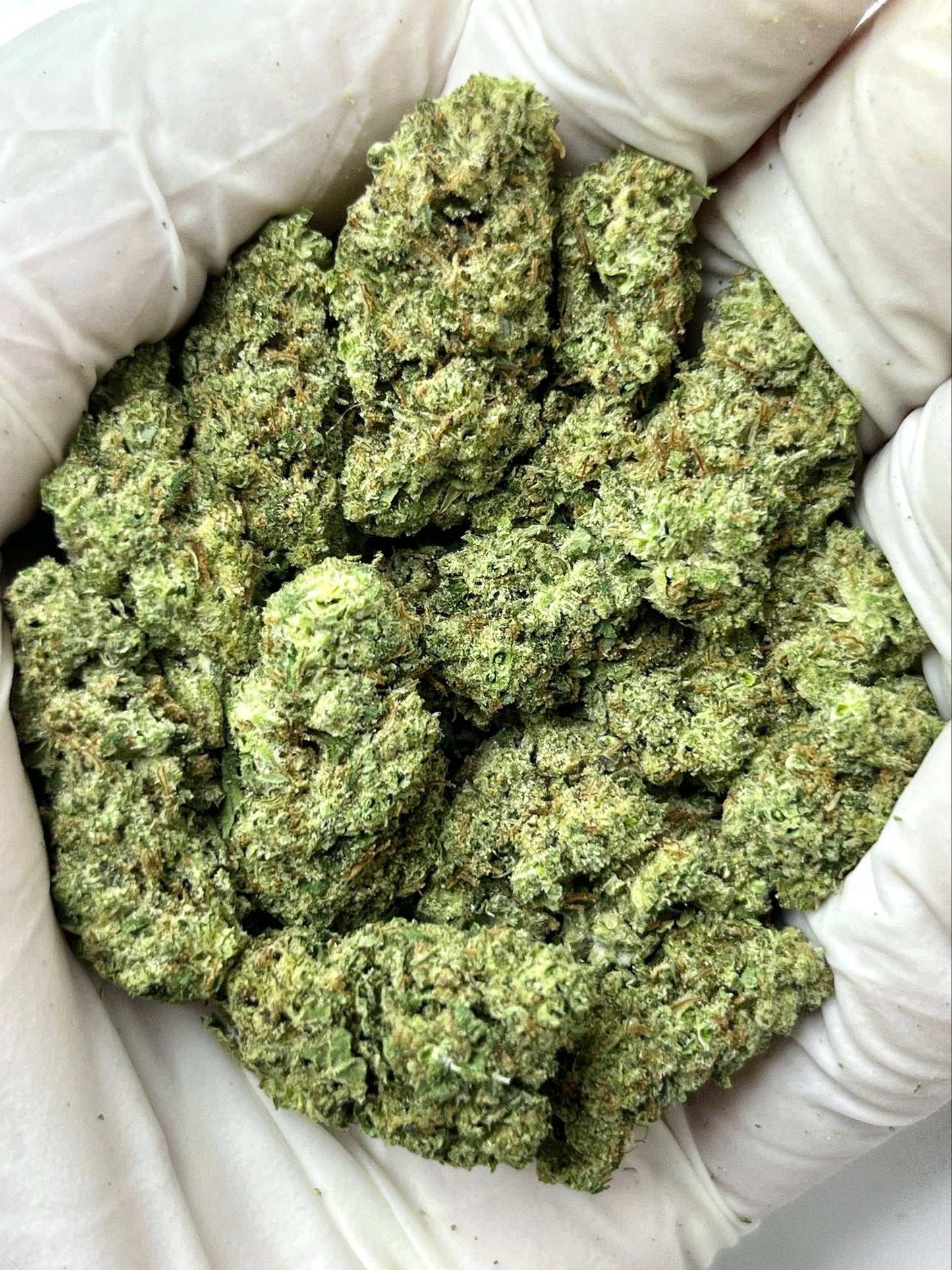 Greenbacks Gasmask X