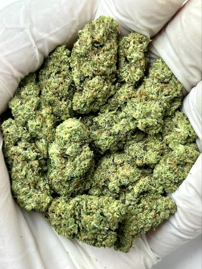 Greenbacks Gasmask X