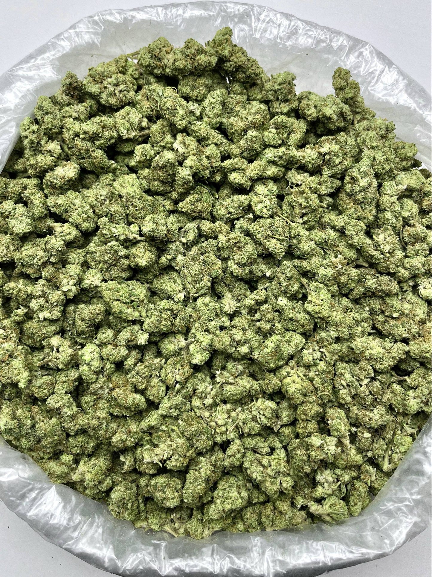 Greenbacks Gasmask X