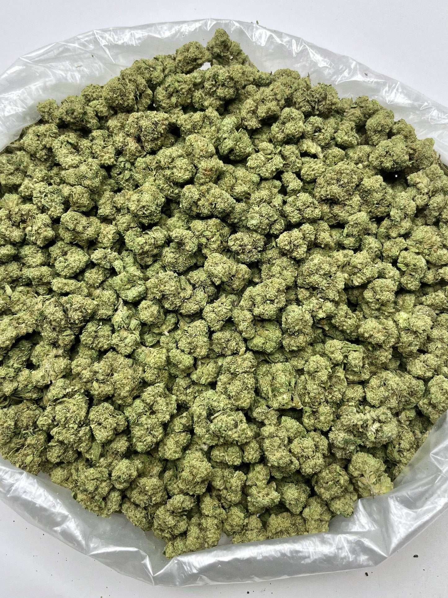 Greenbacks Thunderfruit