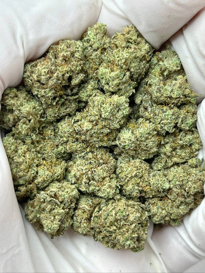 Greenbacks Black Sakura