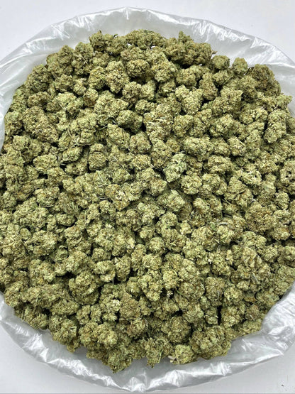 Greenbacks Black Sakura