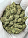 Tangie