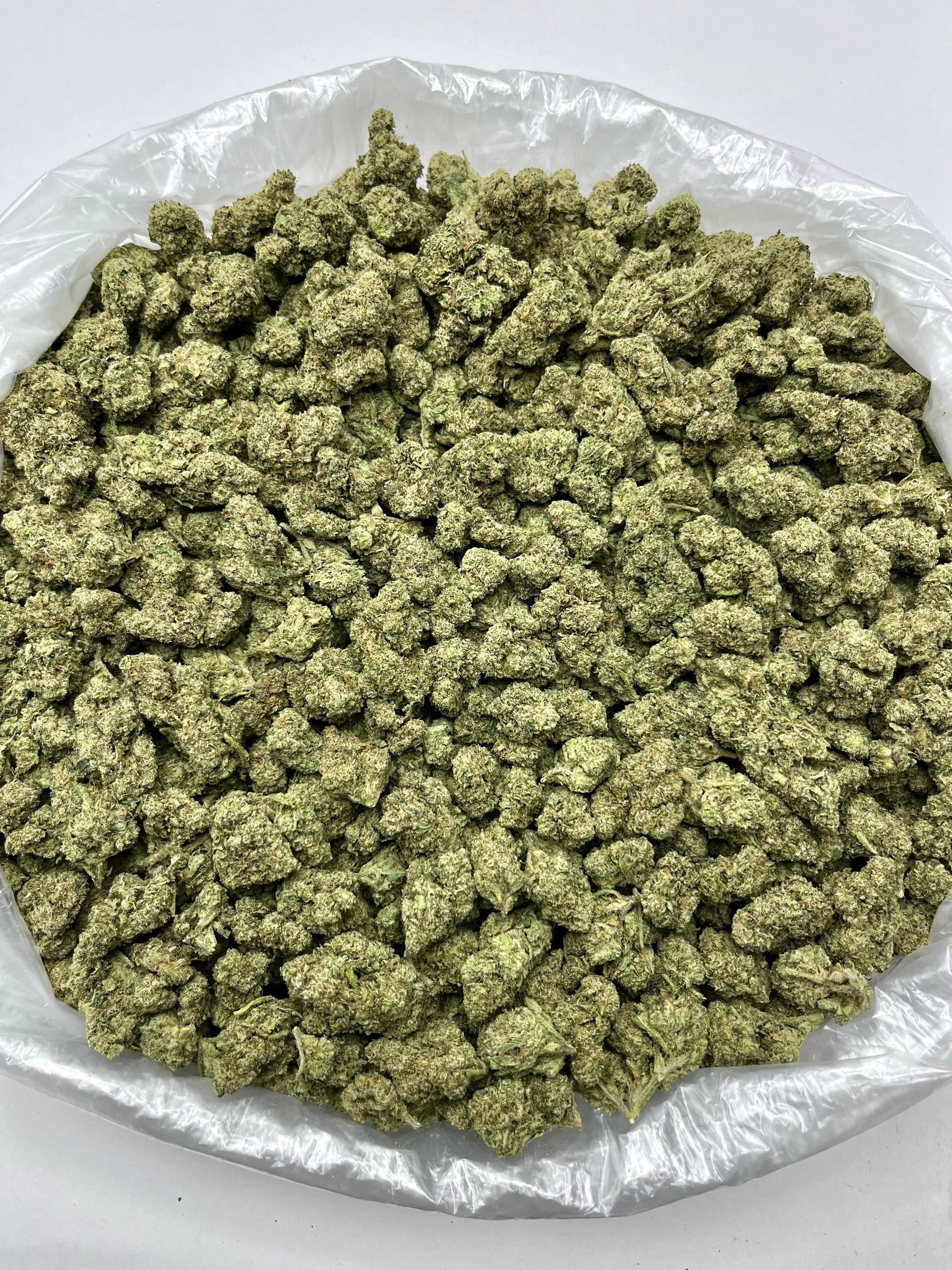 Tangie