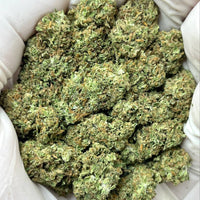 Jack Herer