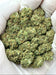 Jack Herer