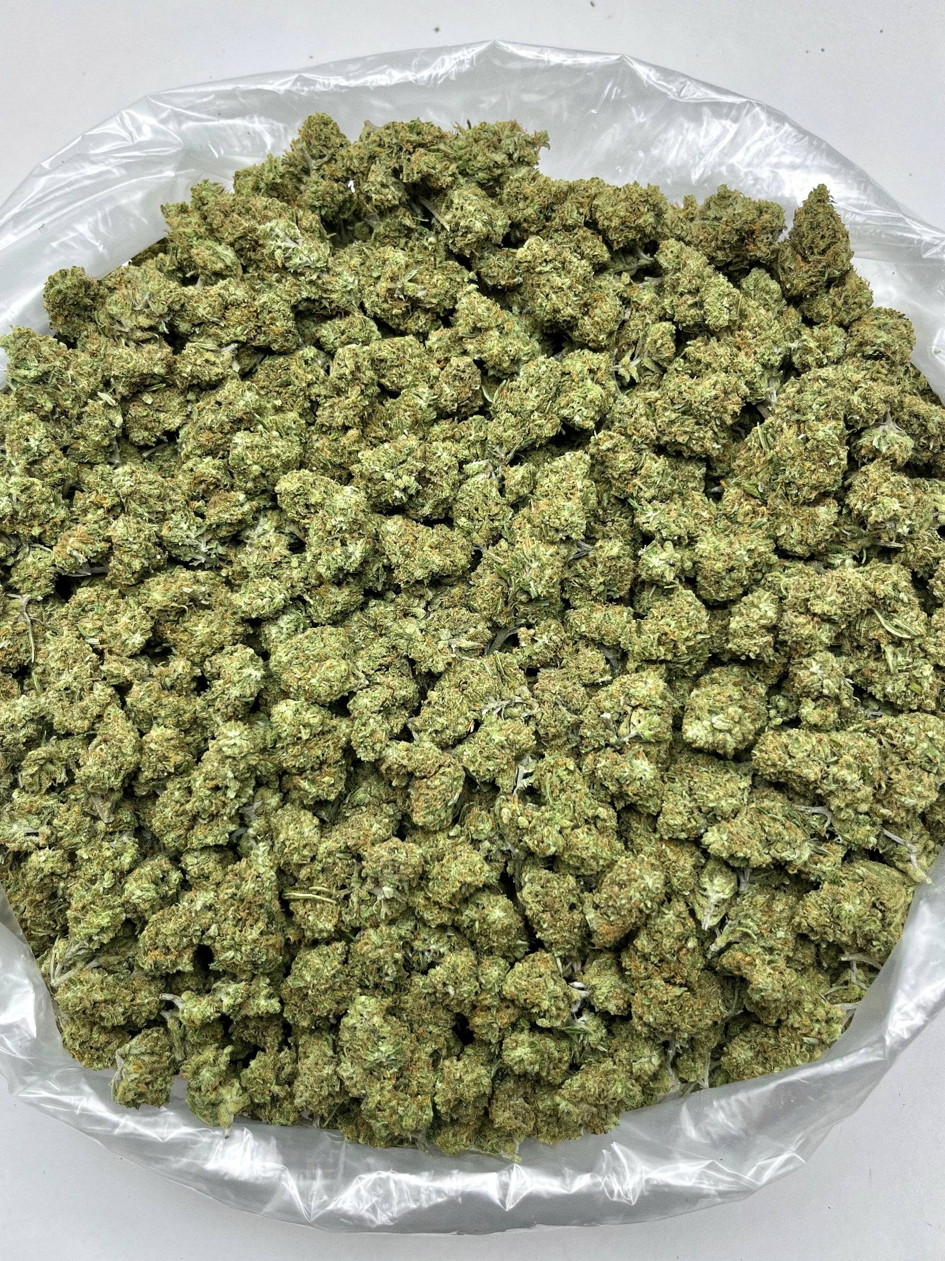 Jack Herer