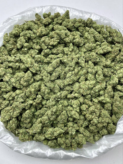 Greenbacks Sour Diesel