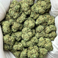 Gelato