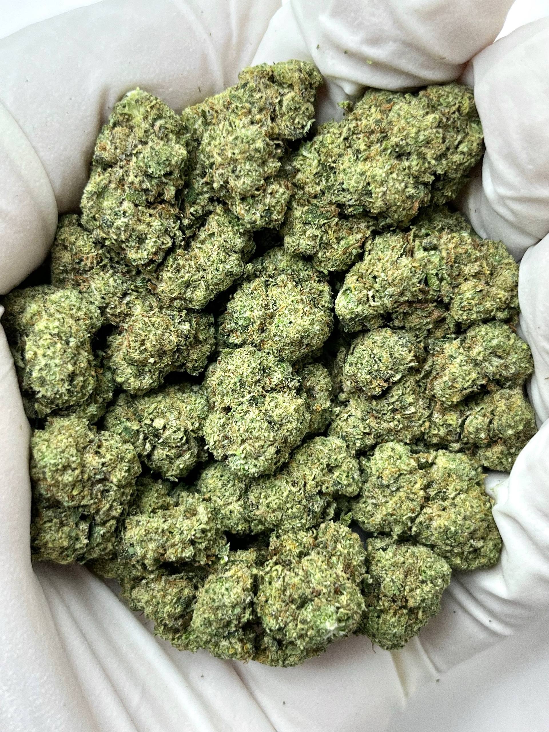 Gelato