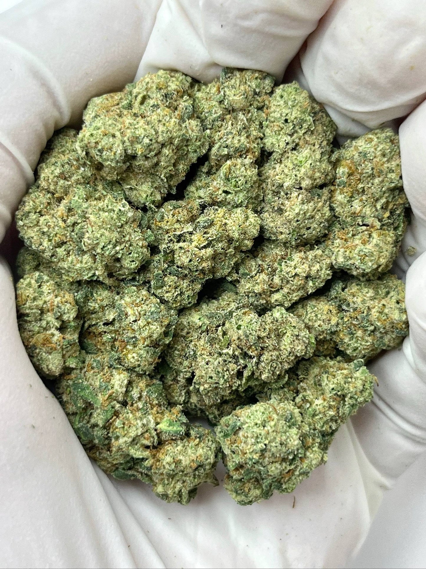 Greenbacks Blue Dream