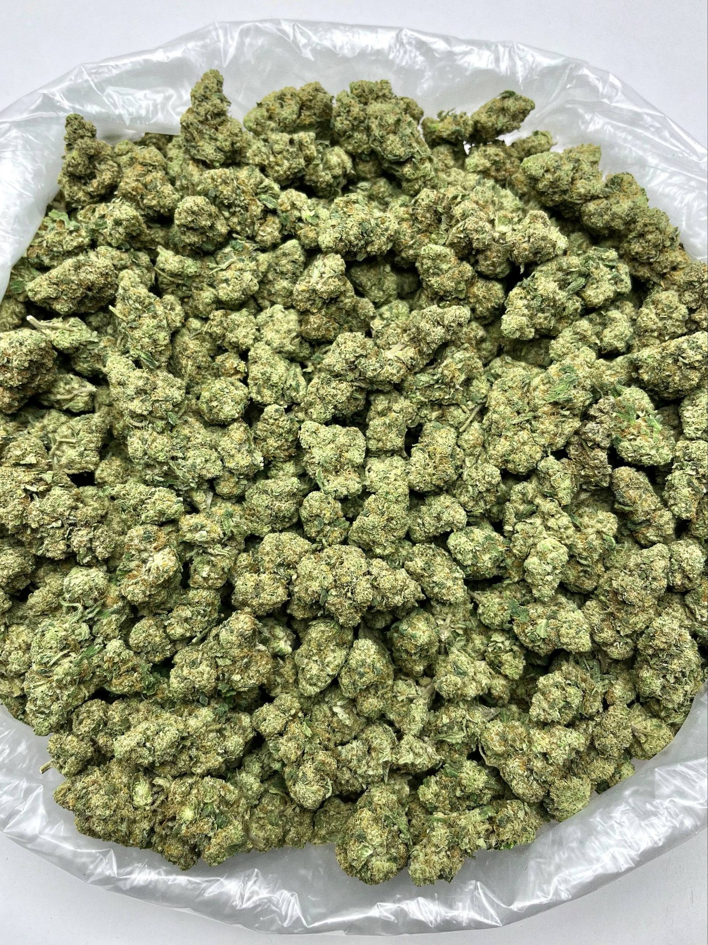 Greenbacks Blue Dream