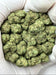 Purple Skittlez