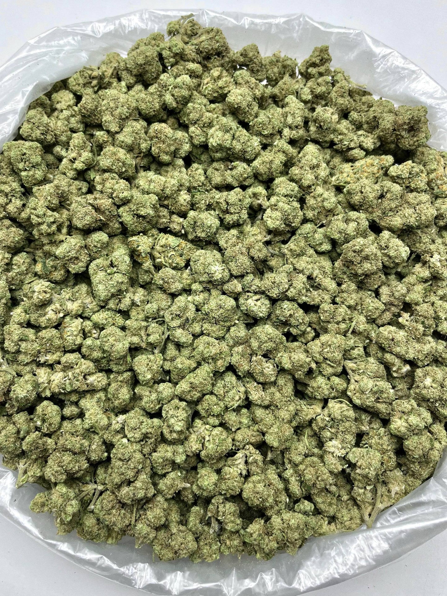 Greenbacks Purple Skittlez