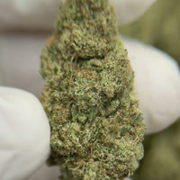 Tangie