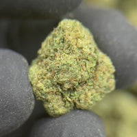Cosmic Gelato