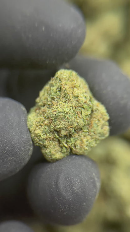 Greenbacks Cosmic Gelato