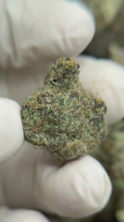 Premium Rainbow Beltz