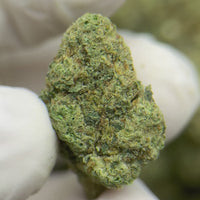 Blue Dream
