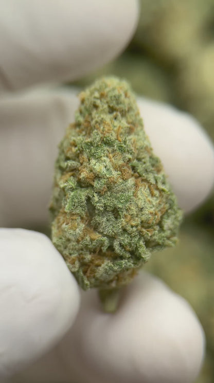 Premium Thunderfruit