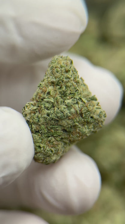 Premium Gorilla Flex 33