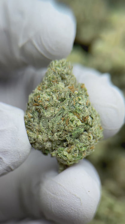 Premium Cosmic Gelato