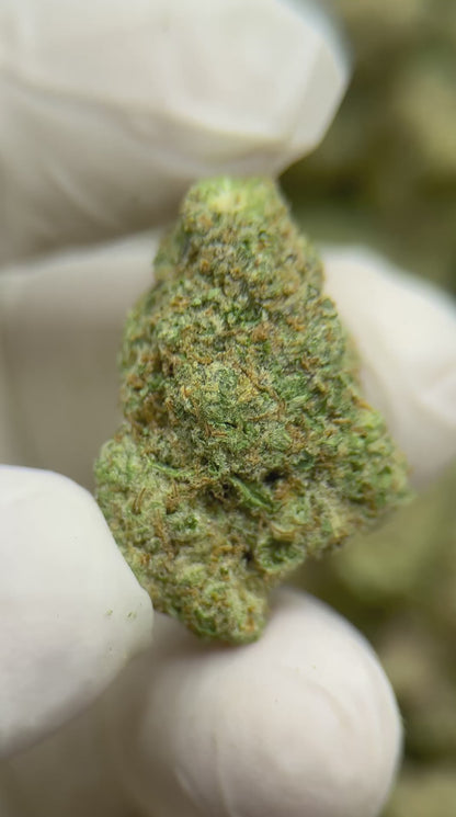 Premium Strawberry Cough