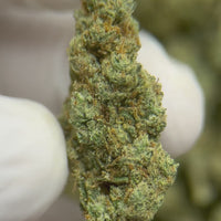 Gorilla Flex 33