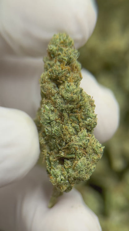 Greenbacks Gorilla Flex 33