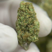 Jack Herer