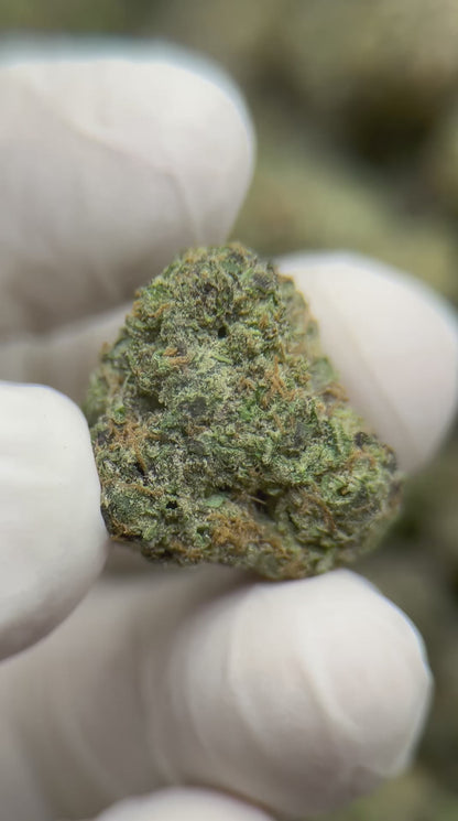 Premium Purple Skittlez