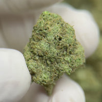 Purple Skittlez